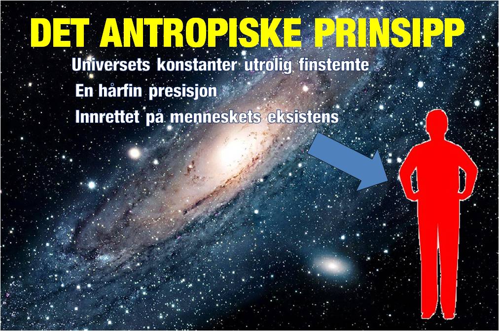 Det antropiske prinsipp